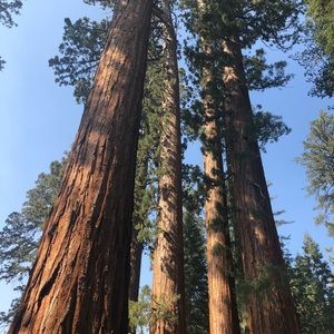 Meet your Posher, Madi